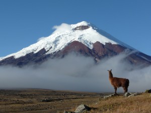 Горная Америка