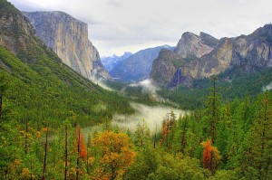 Природа Америки