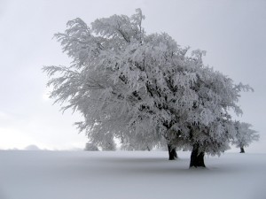 Зима в Америке