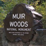 Национальный парк Муир Вудс