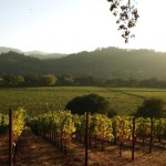 Долина виноделия Напа